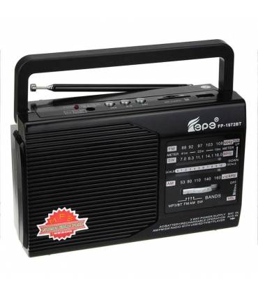 رادیو اسپیکر RADIO FP-1972BT