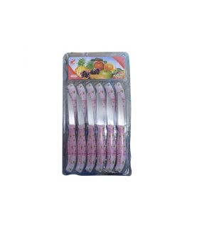 کارد میوه خوری دسته پلاستیکی آنجل