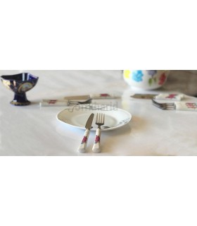 کارد و چنگال میوه خوری دسته سرامیکی MGS